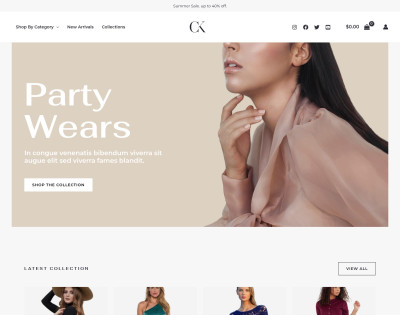 Fashion Designer