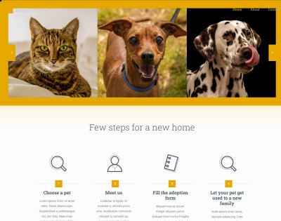 Be Animal Shelter