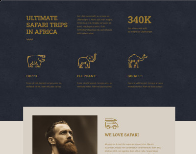 Be Safari 2