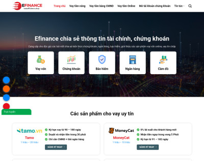 Vay Vốn, Tài Chính 03