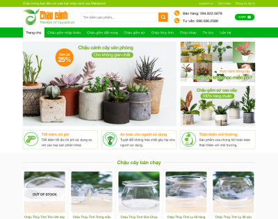 Bán Chậu Cây Cảnh Văn Phòng