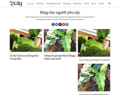 Tin Tức 12