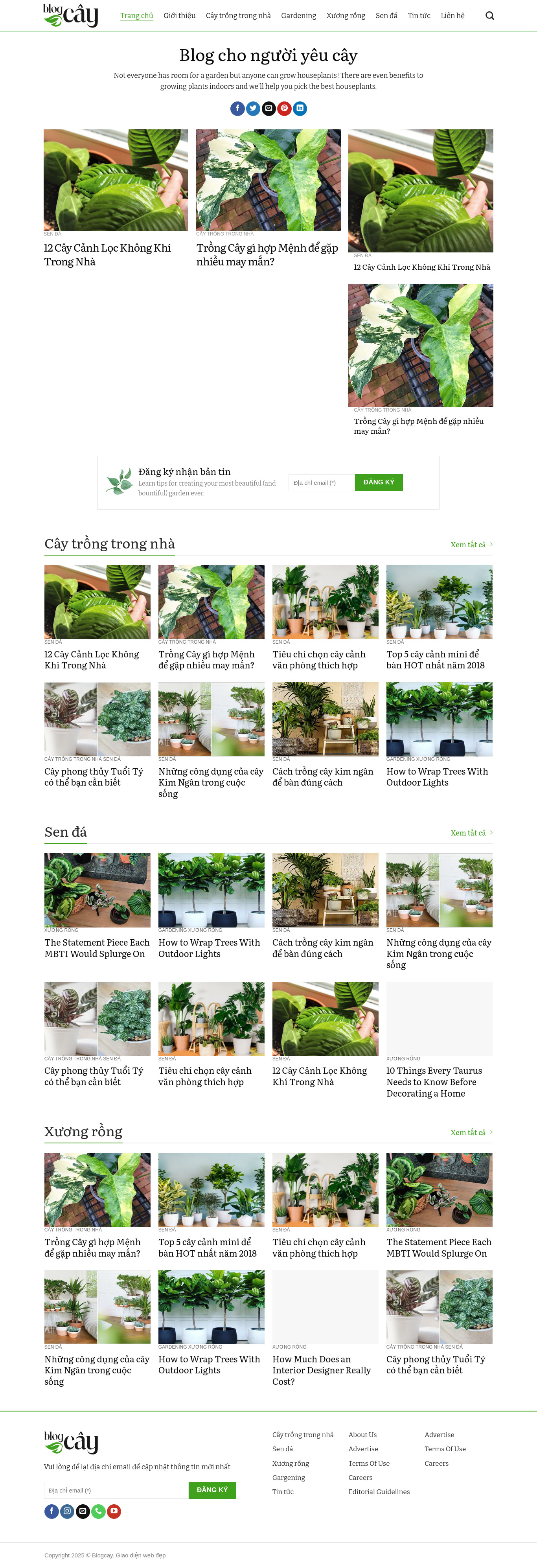 Tin Tức 12