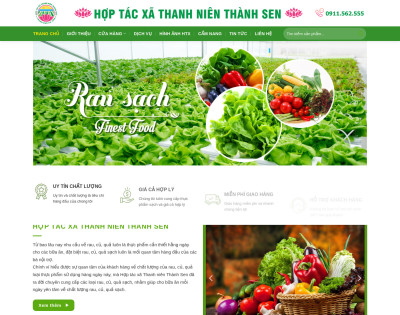 Hợp Tác Xã Nông Sản, Rau Sạch