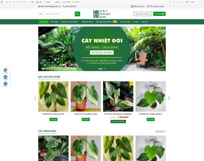 Bán Cây Xanh Nhiệt Đới ,Cây Xanh 2
