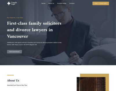 Family Lawyer