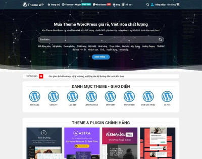 Web Mua Bán Theme, Plugin 02