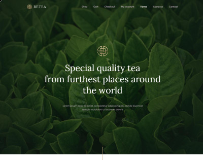 Be Tea 4