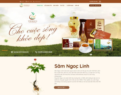 Bán Sâm Ngọc Linh