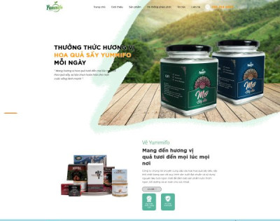 Trái Cây Hoa Quả Sấy Đặc Sản